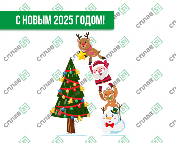 Поздравляем Вас с Новым 2025 годом! Поздравляем Вас с Новым 2025 годом!